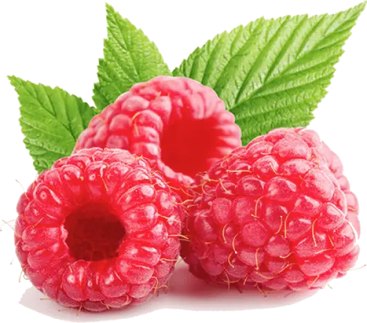 Make America Slim Again ingredient image